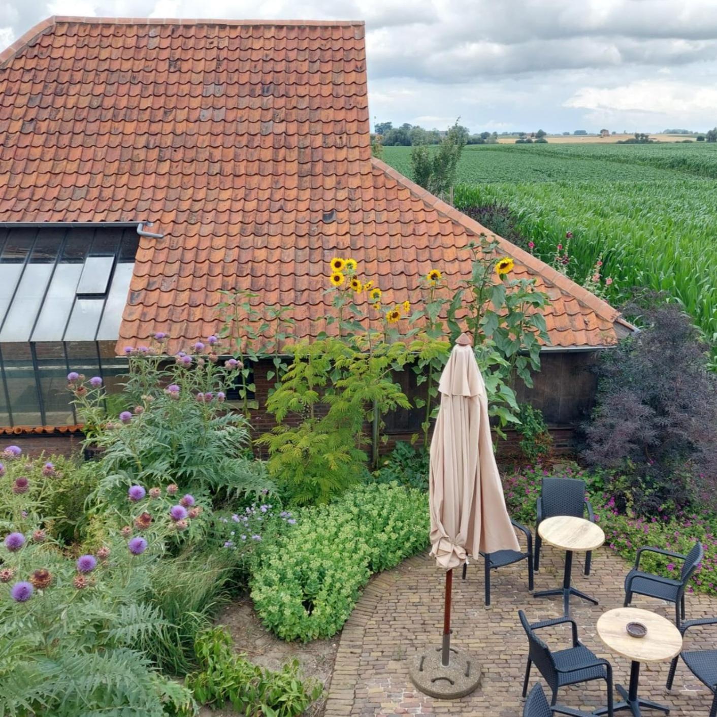 B&B Stefans Pottery Poperinge Zewnętrze zdjęcie